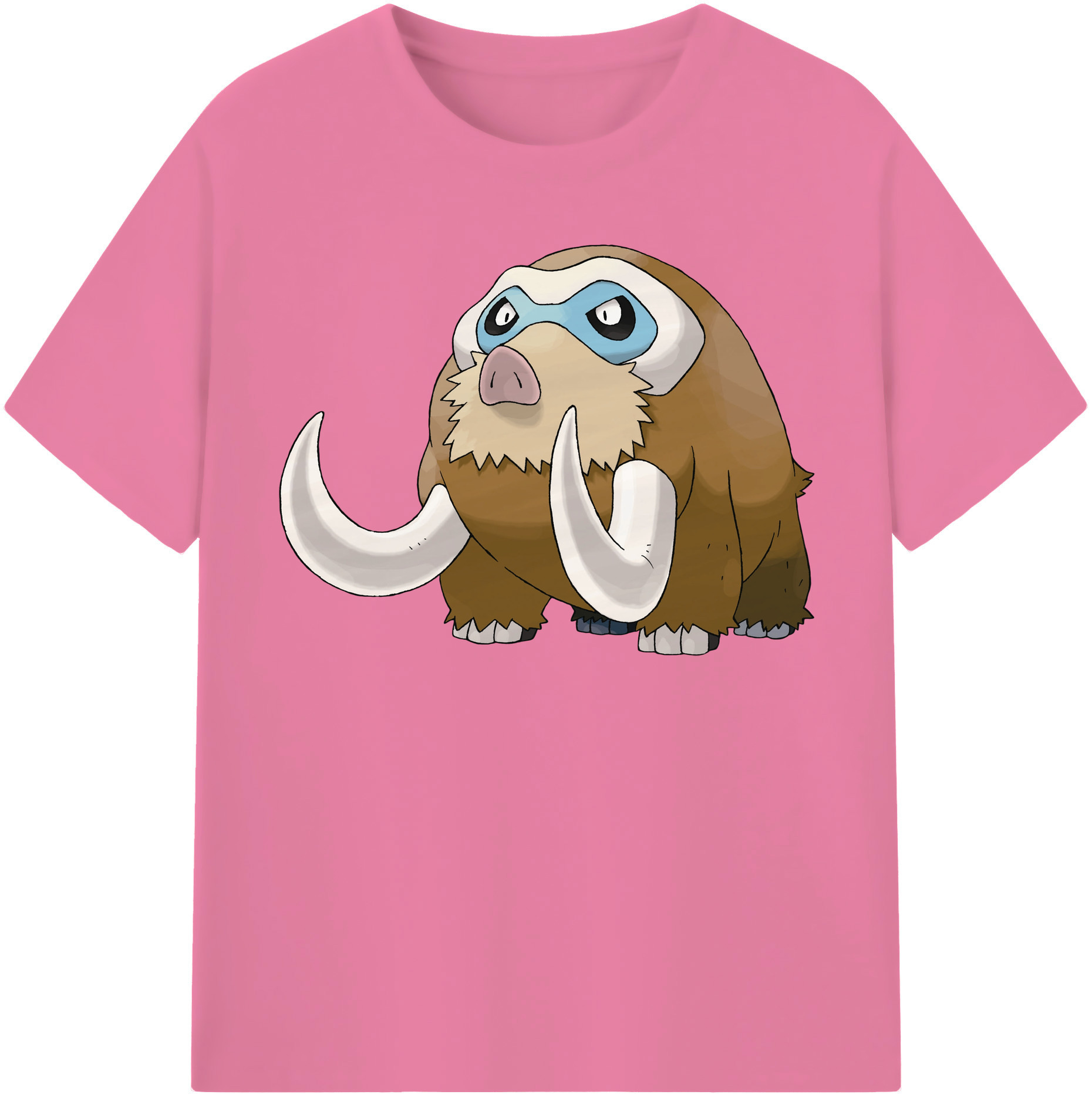 （画像用） ポケットモンスター Pokémon 綿100％半袖Tシャツ（フロントプリント）